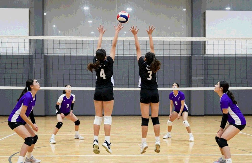 ACC vs SEC: The Strategic Showdown Reshaping NCAA Women's Volleyball in 2026 ACC vs SEC: The Strategic Showdown Reshaping NCAA Women's Volleyball in 2026
